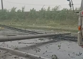 Hujan Deras Disertai Angin, Tiga Tiang Listrik Tumbang di Sidoarjo Barat