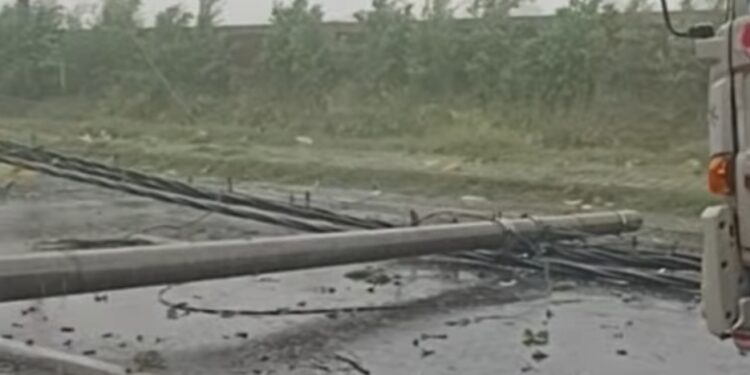 Hujan Deras Disertai Angin, Tiga Tiang Listrik Tumbang di Sidoarjo Barat