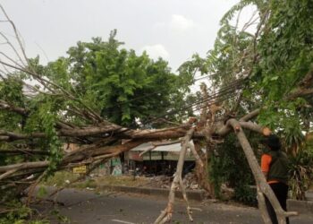 BMKG Peringatkan Potensi Angin Kencang dan Hujan Es di Sidoarjo