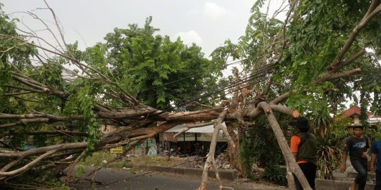 BMKG Peringatkan Potensi Angin Kencang dan Hujan Es di Sidoarjo