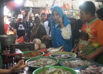 Profil Calon Wakil Bupati Sidoarjo, Hj Mimik Idayana Bukan Emak-Emak Biasa