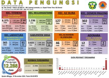 Ini Data Lengkap Jumlah Pengungsi Erupsi Gunung Lewotobi NTT