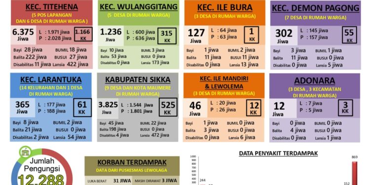 Ini Data Lengkap Jumlah Pengungsi Erupsi Gunung Lewotobi NTT