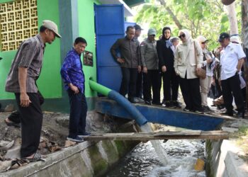 Pertanian di Kabupaten Sidoarjo Mendapat Perhatian Komisi IV DPR RI