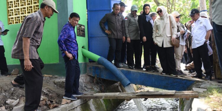 Pertanian di Kabupaten Sidoarjo Mendapat Perhatian Komisi IV DPR RI