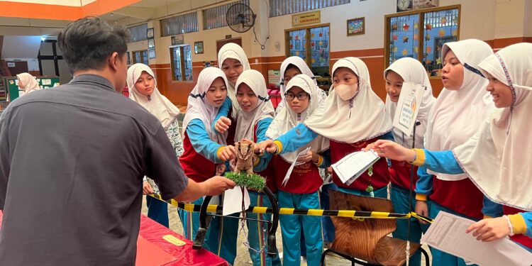 Datangkan Iguana Jumbo dan Burung Hantu ke Sekolah, SD Al Muslim Peringati Hari Cinta Puspa dan Satwa Nasional