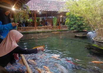 Waroeng Bamboe Sidomulyo Kota Batu, Tempat Kuliner Bernuansa Alam dengan Pesona Ikan Koi