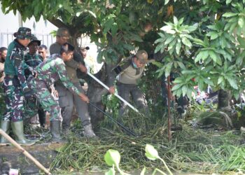 Pemkab Sidoarjo Bersama Kodim 0816 Sidoarjo Bersihkan Sungai Pelayaran Taman