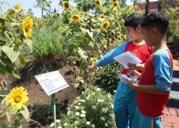 SD Al Muslim Jaga Kelestarian Tumbuhan dengan Inovasi Pertanian Lewat Outing Class di BRMP Malang