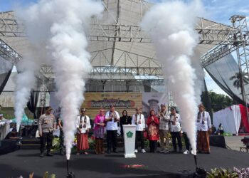 Gelar Festival Kota Lama, Sidoarjo Kenalkan Ciri Khas Makanan Berbahan Dasar Petis